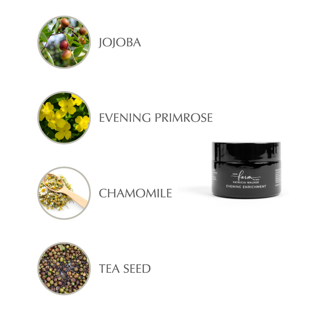 Evening Enrichment Moisturizer