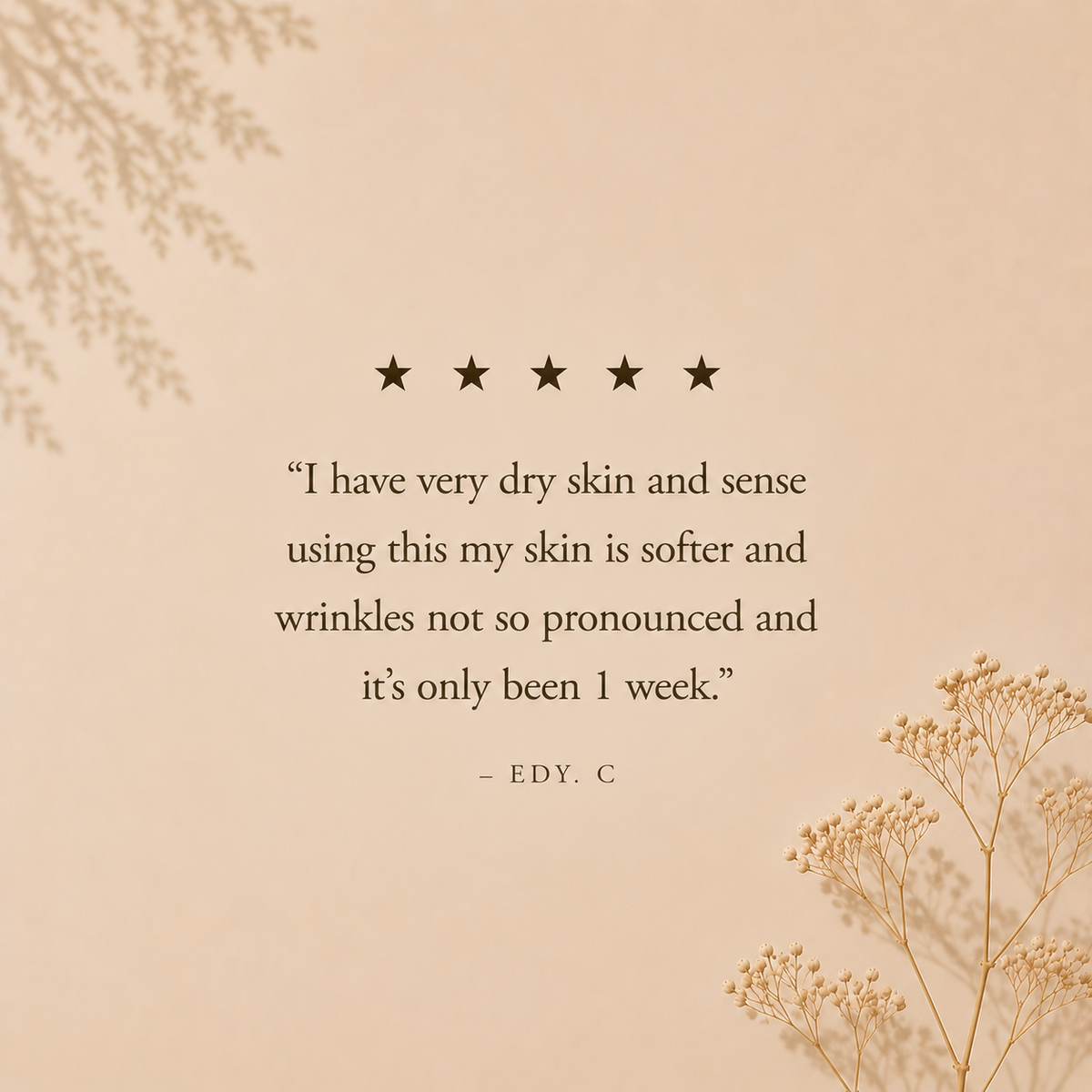 Dryness Balance Skincare Routine