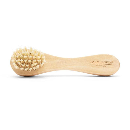 facial dry brush laying on white background