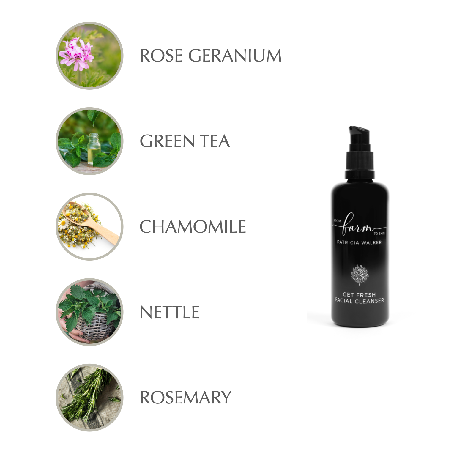 Get Fresh Cleanser
