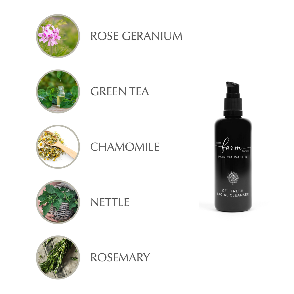 Get Fresh Cleanser