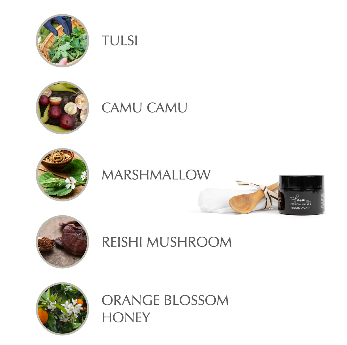 Begin Again Brightening Buff and Masque
